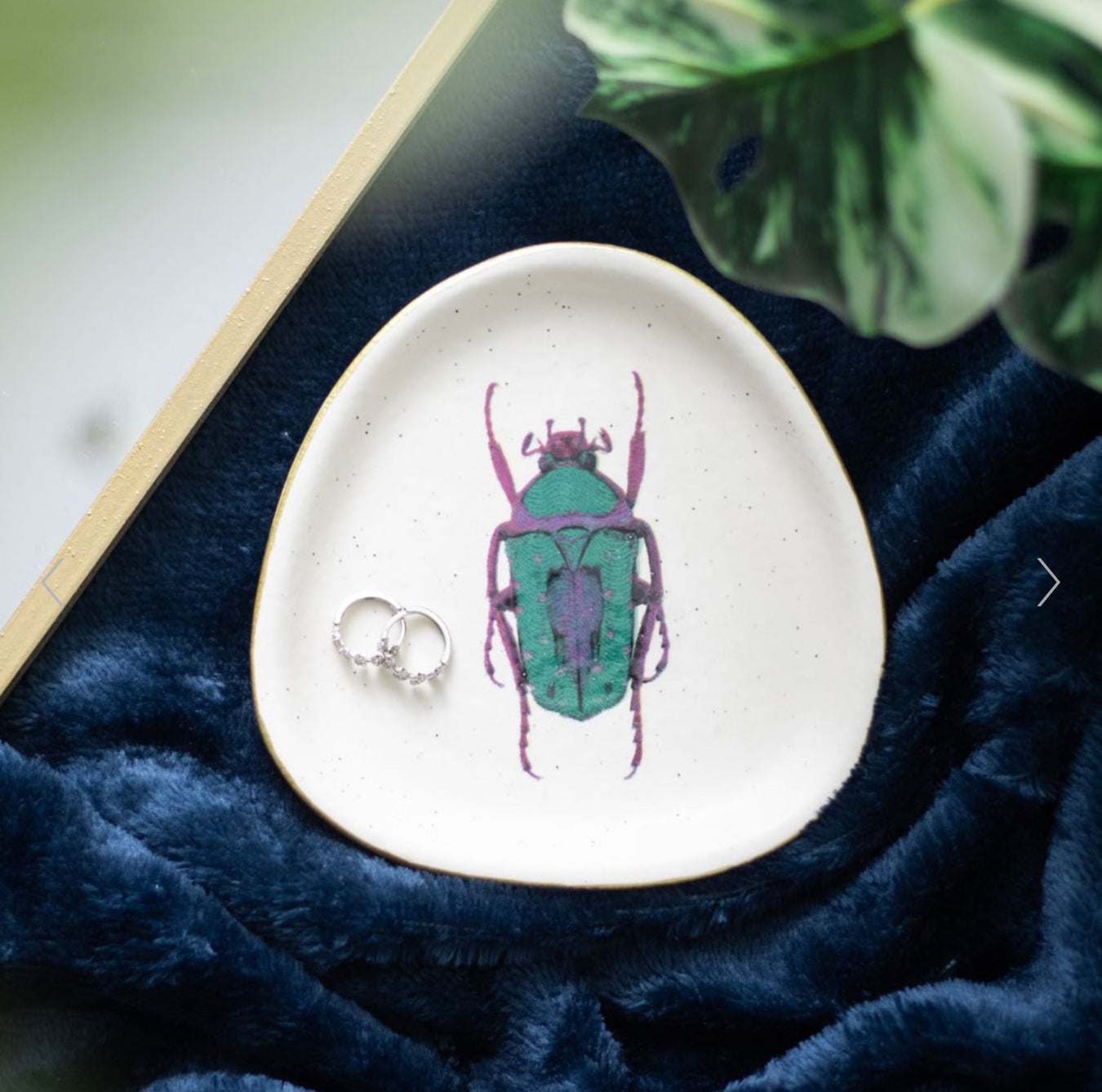 Beetle Themed Gifts & Homeware