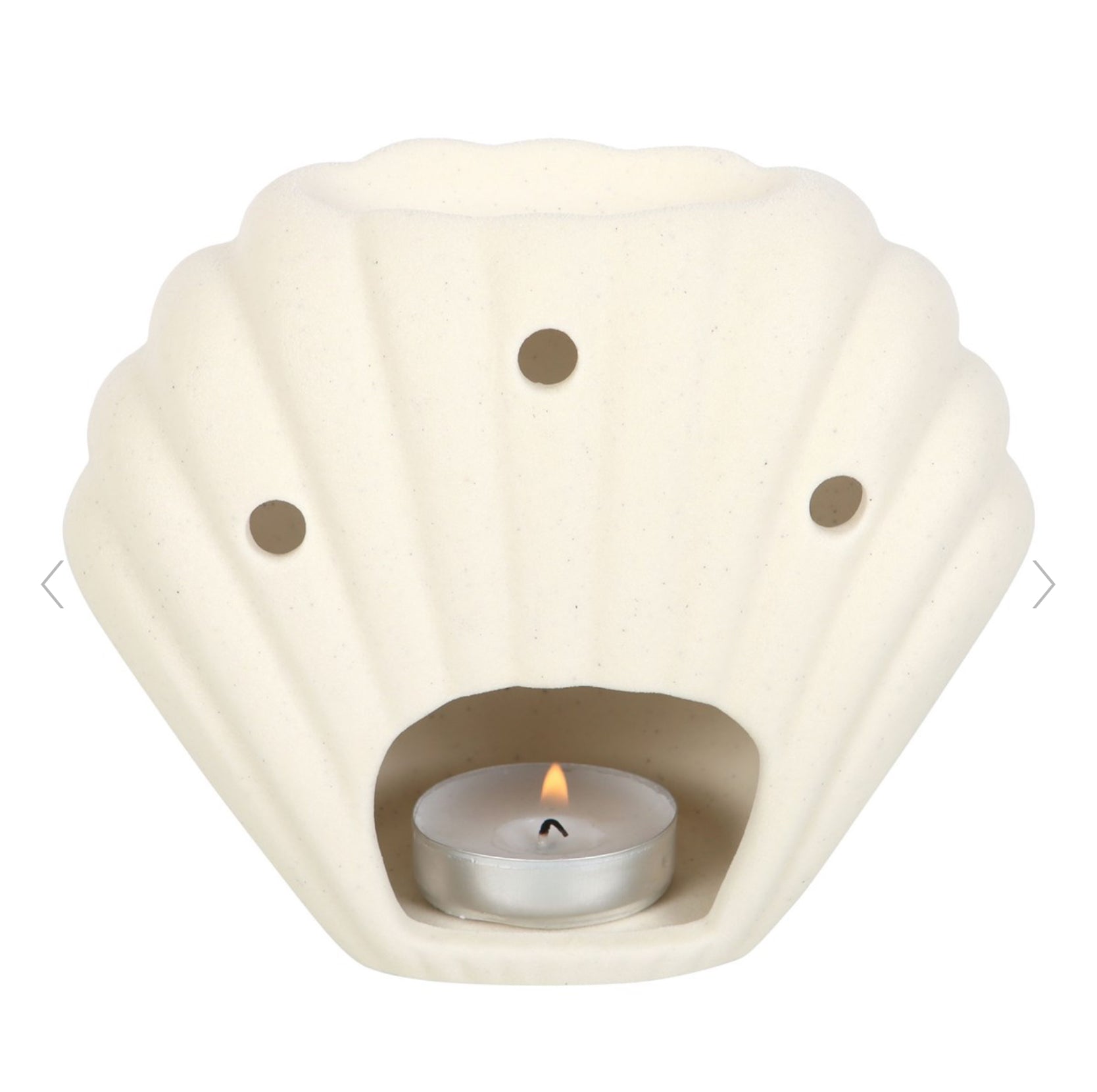 Seashell Shaped Oil Burner