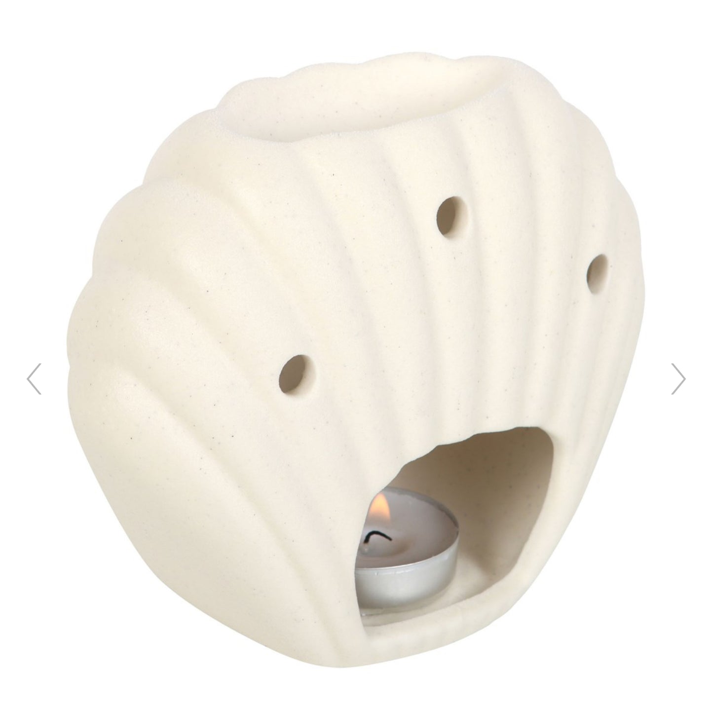 Seashell Shaped Oil Burner