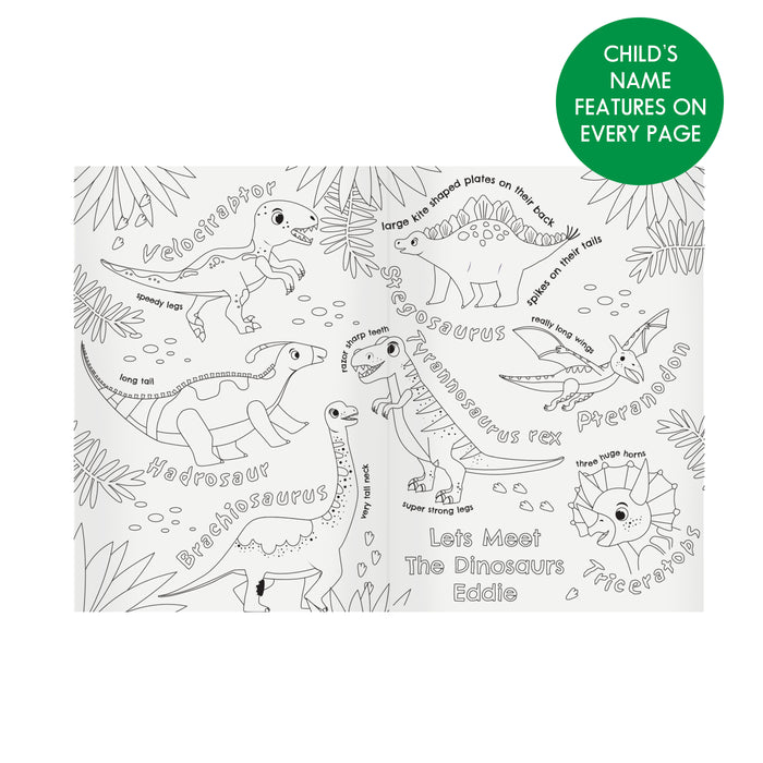 Personalised Dinosaur Colouring Book