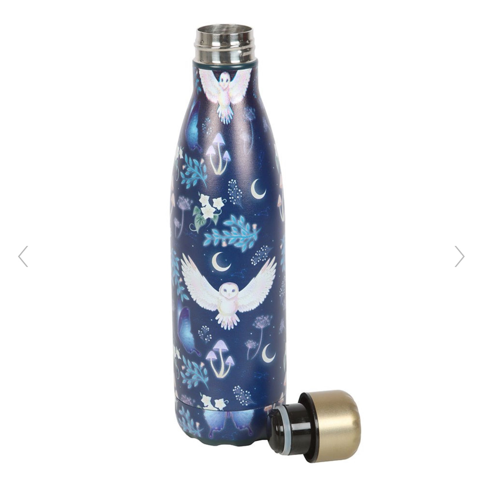 Night Flight Owl Print Metal Water Drink Bottle