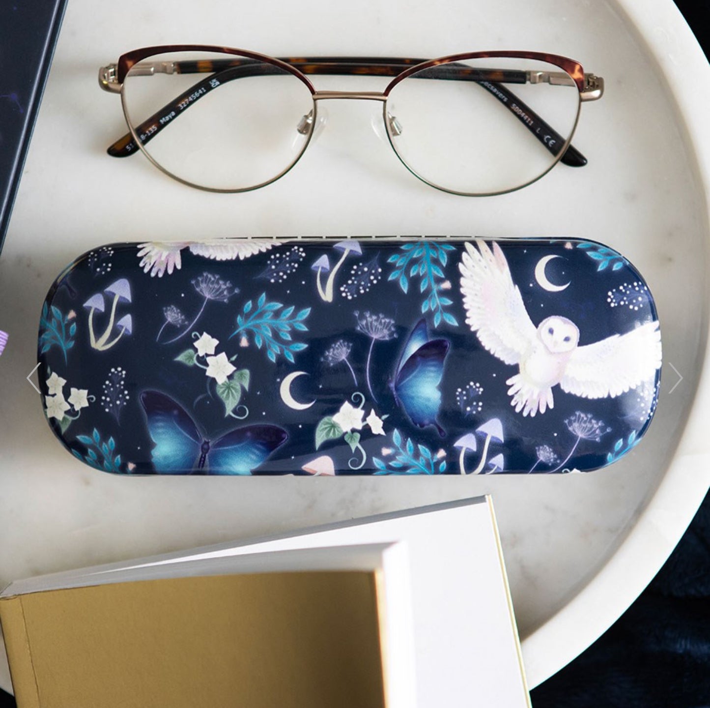 Night Flight Owl Print Glasses Case