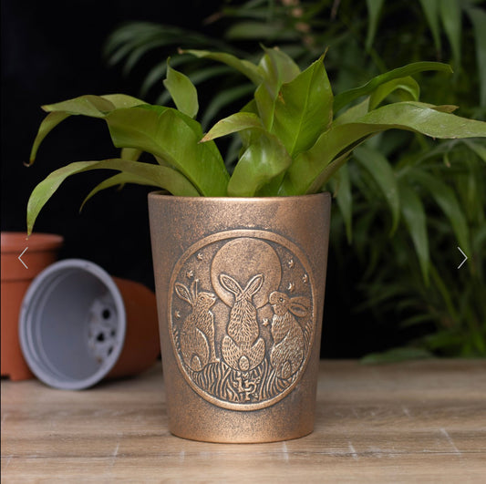 Moon Shadows Hares Bronze Terracotta Plant Pot