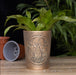 Moon Shadows Hares Bronze Terracotta Plant Pot