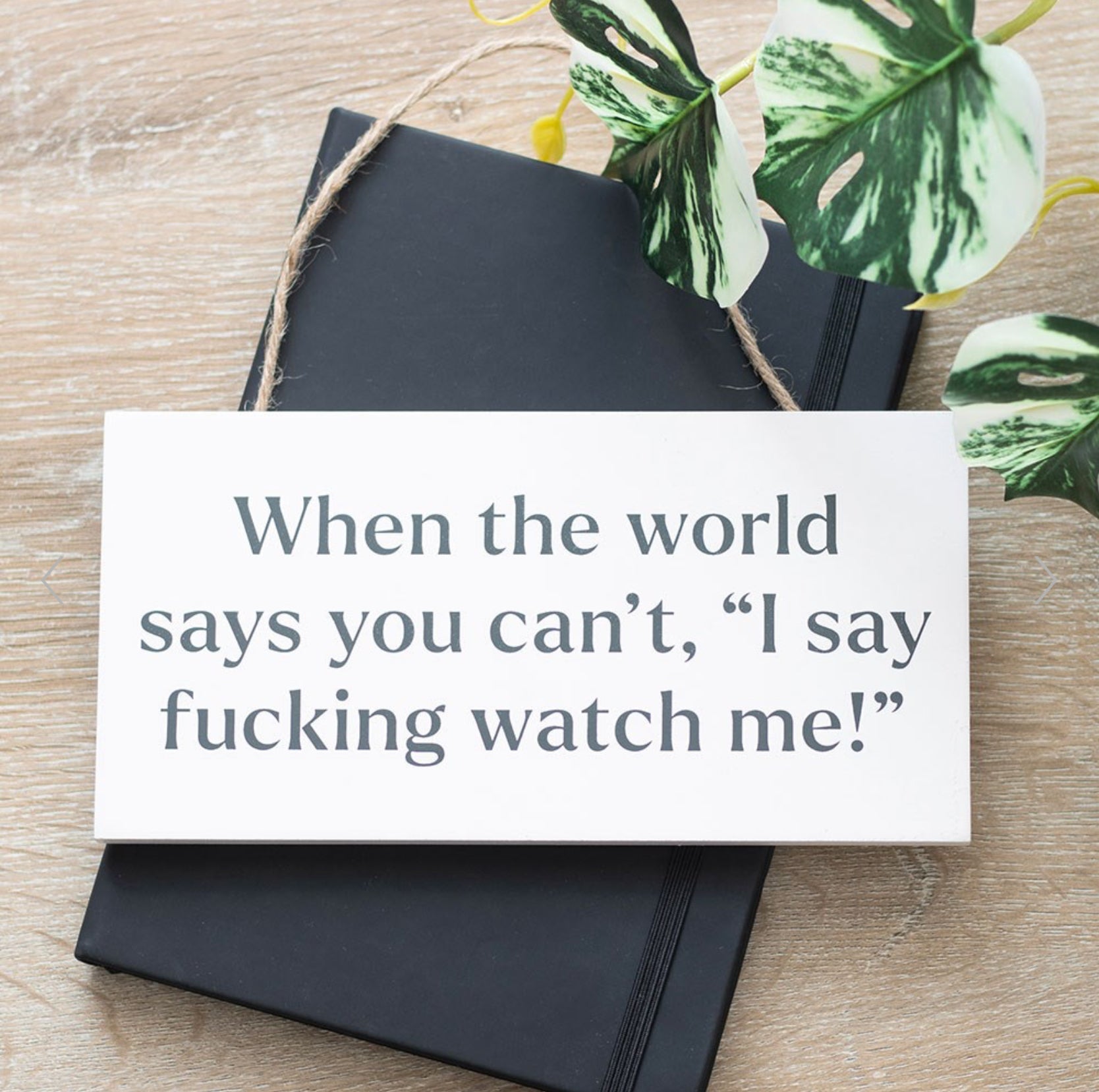 F*cking Watch Me! Sweary Rude Hanging Decoration Sign