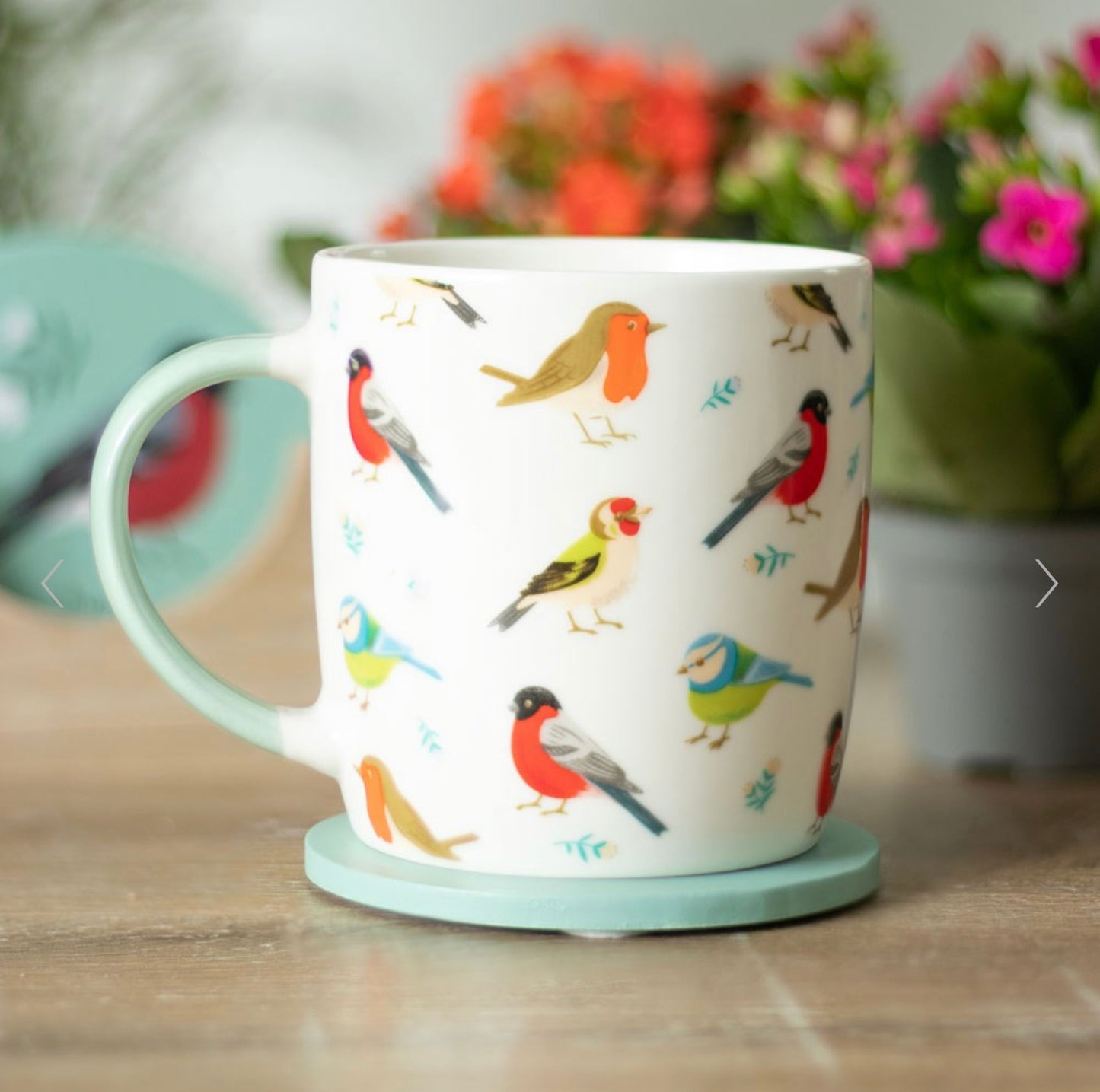 Set of 4 Garden Bird Mugs