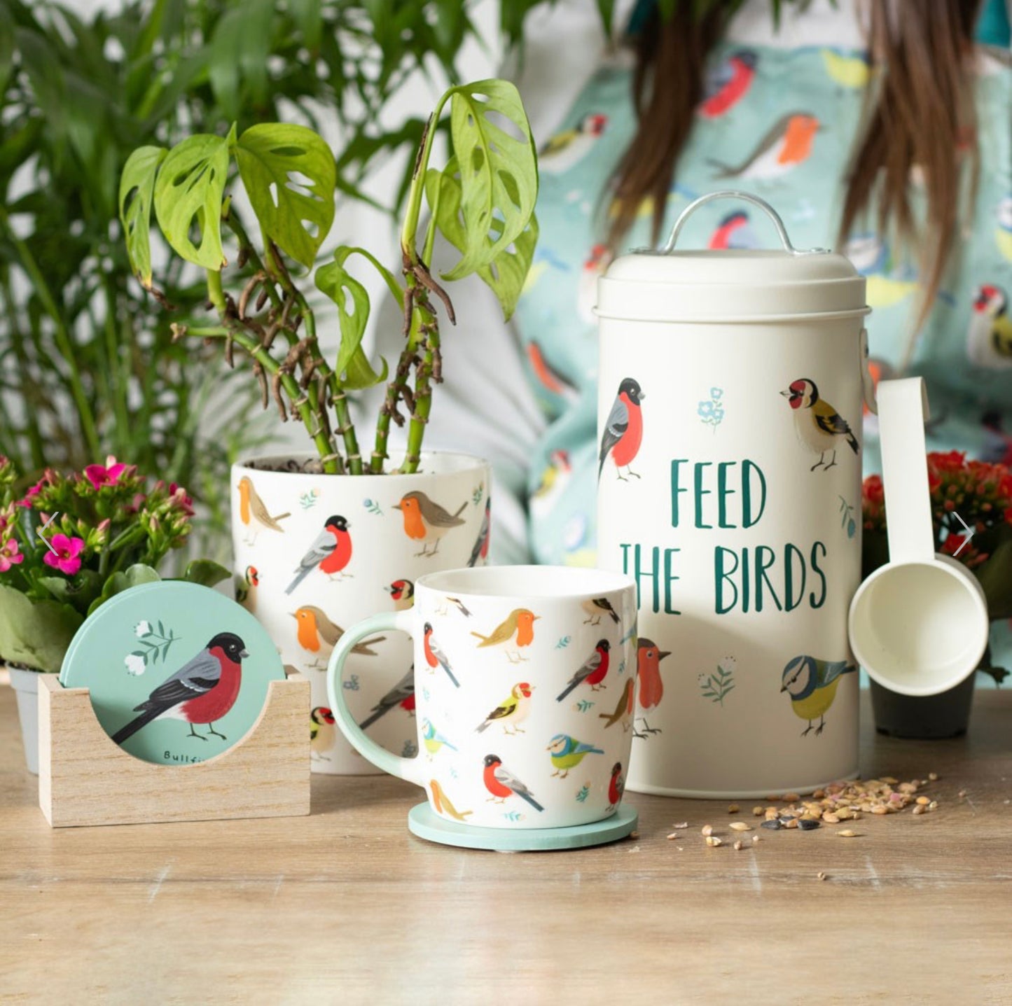 British Garden Birds 4 Coaster Set