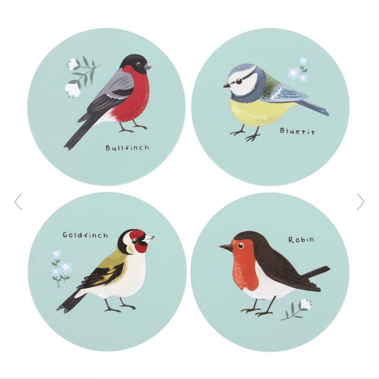 British Garden Birds 4 Coaster Set