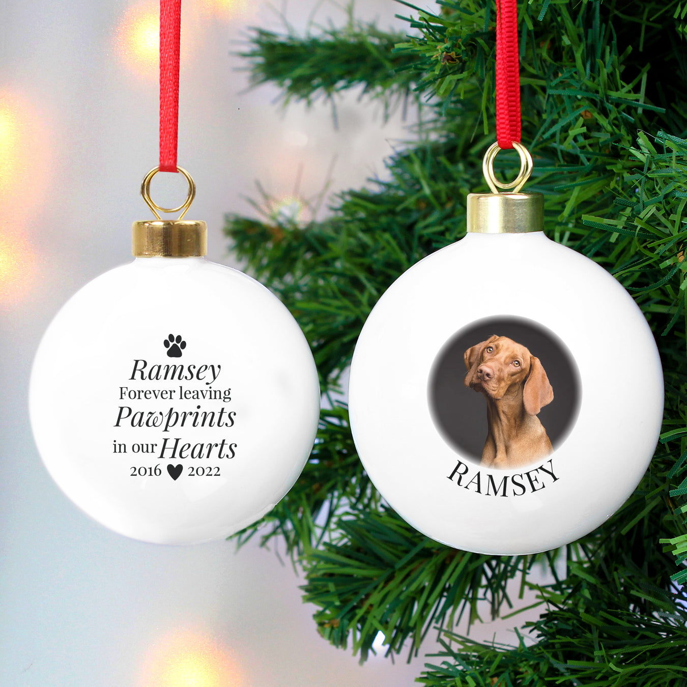 Pet Memorial Baubles