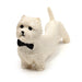 Stretchy West Highland Terrier Dog Fidget Toy