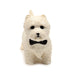 Stretchy West Highland Terrier Dog Fidget Toy