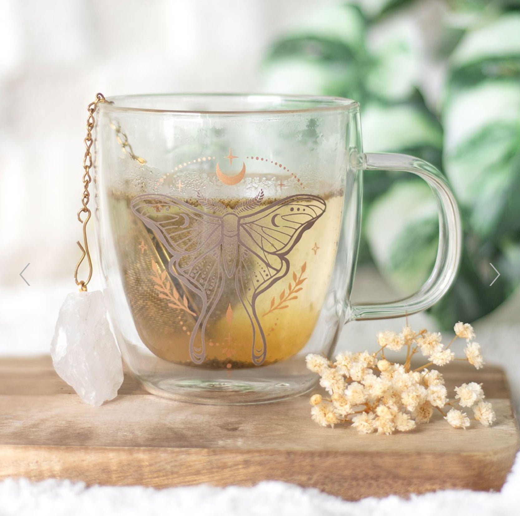 Luna Moth Double Walled Glass Mug with Crystal Tea Infuser