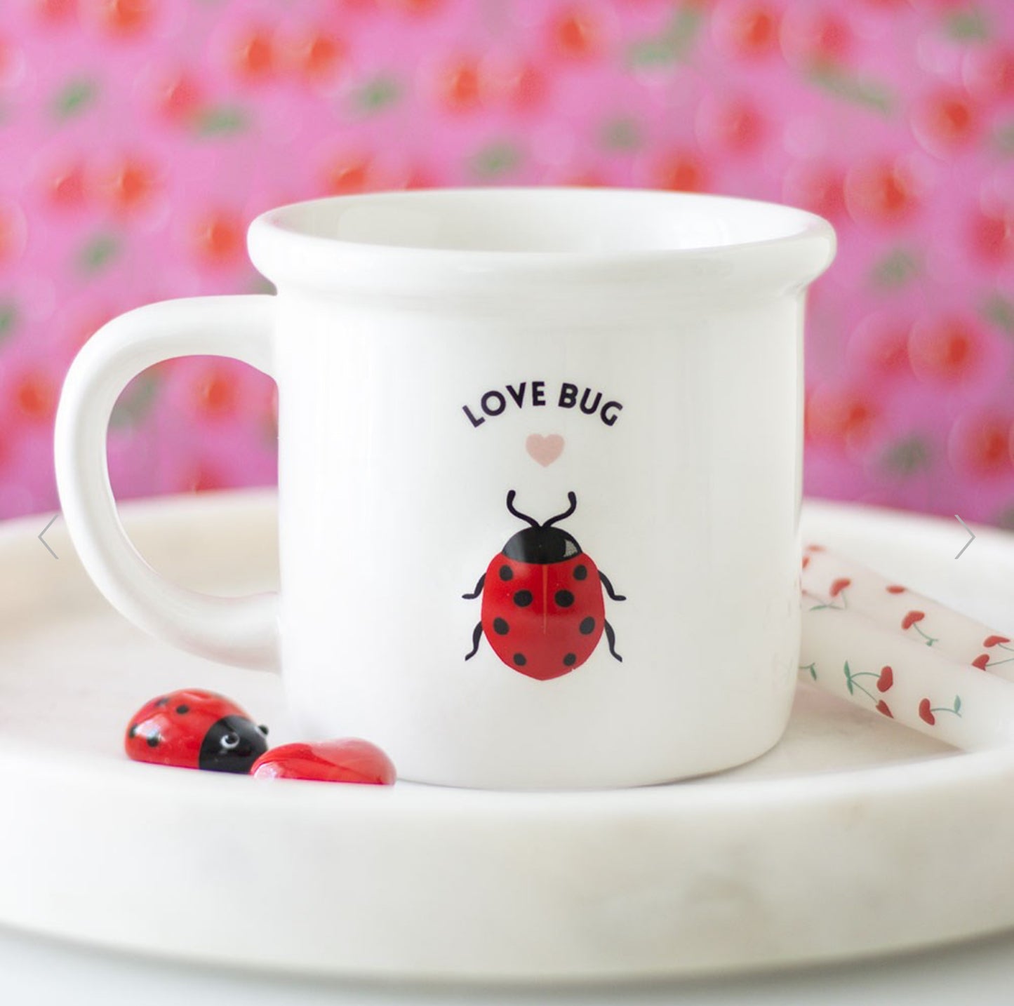 Love Bug Mug with 3D Ladybird