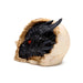 Shadows of Darkness Black Dragon in Skull Ornament Small