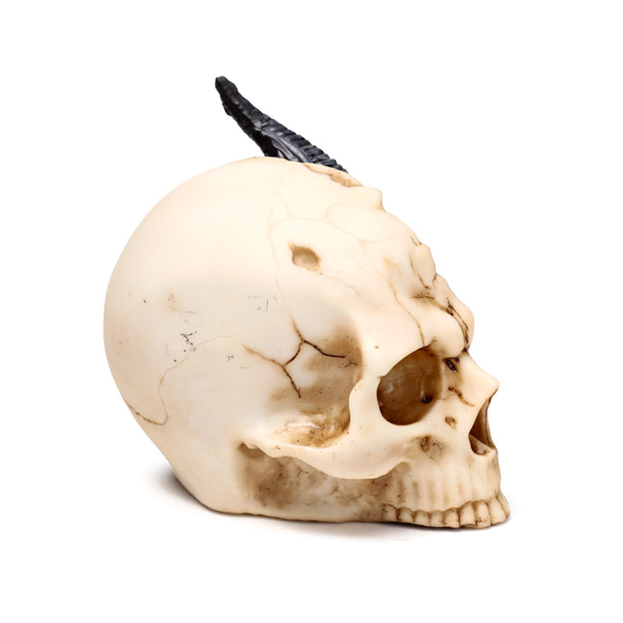 Shadows of Darkness Black Dragon in Skull Ornament Small