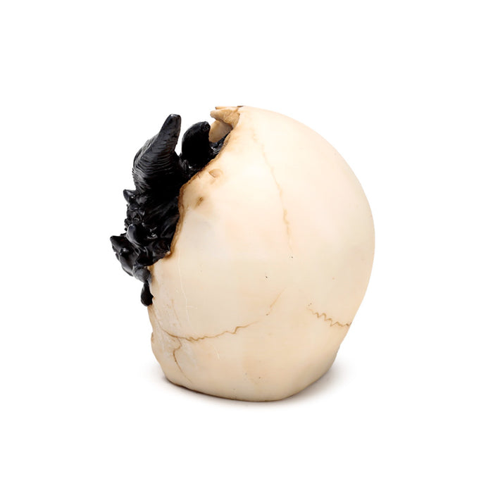 Shadows of Darkness Black Dragon in Skull Ornament Small