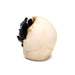 Shadows of Darkness Black Dragon in Skull Ornament Small