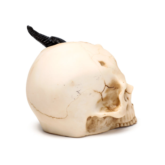 Shadows of Darkness Black Dragon in Skull Ornament Small