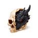 Shadows of Darkness Black Dragon in Skull Ornament Small