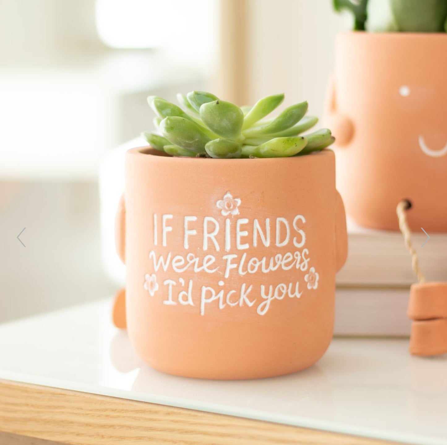 If Friends Were Flowers Sitting Plant Pot Pal