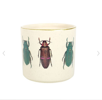 Off White Whimsical Beetle Design Plant Pot