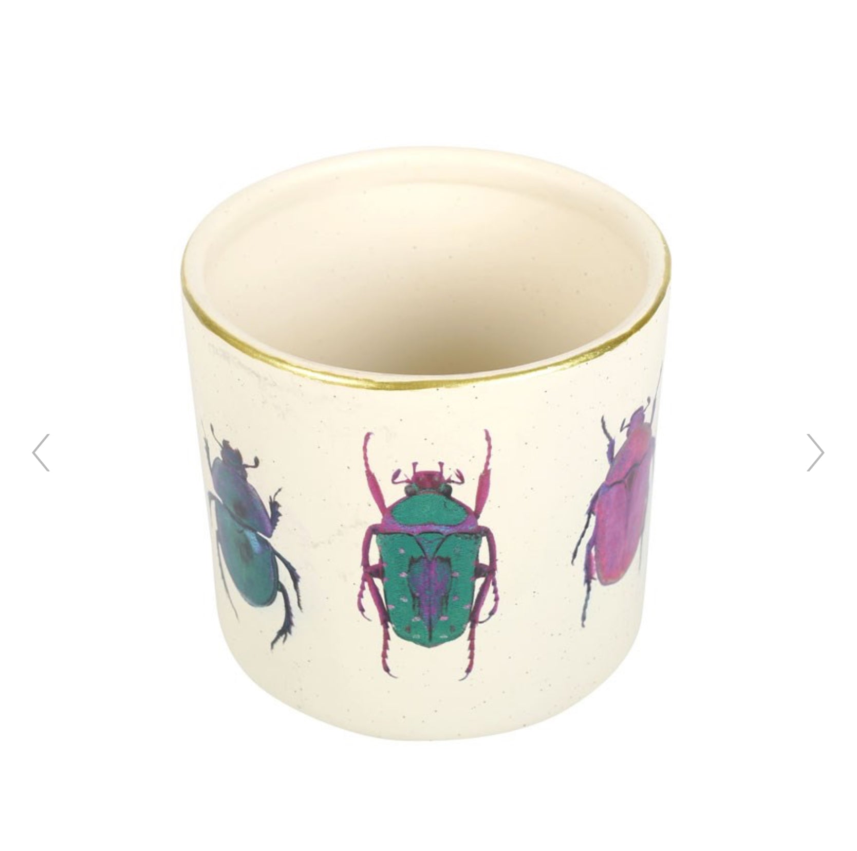 Off White Whimsical Beetle Design Plant Pot