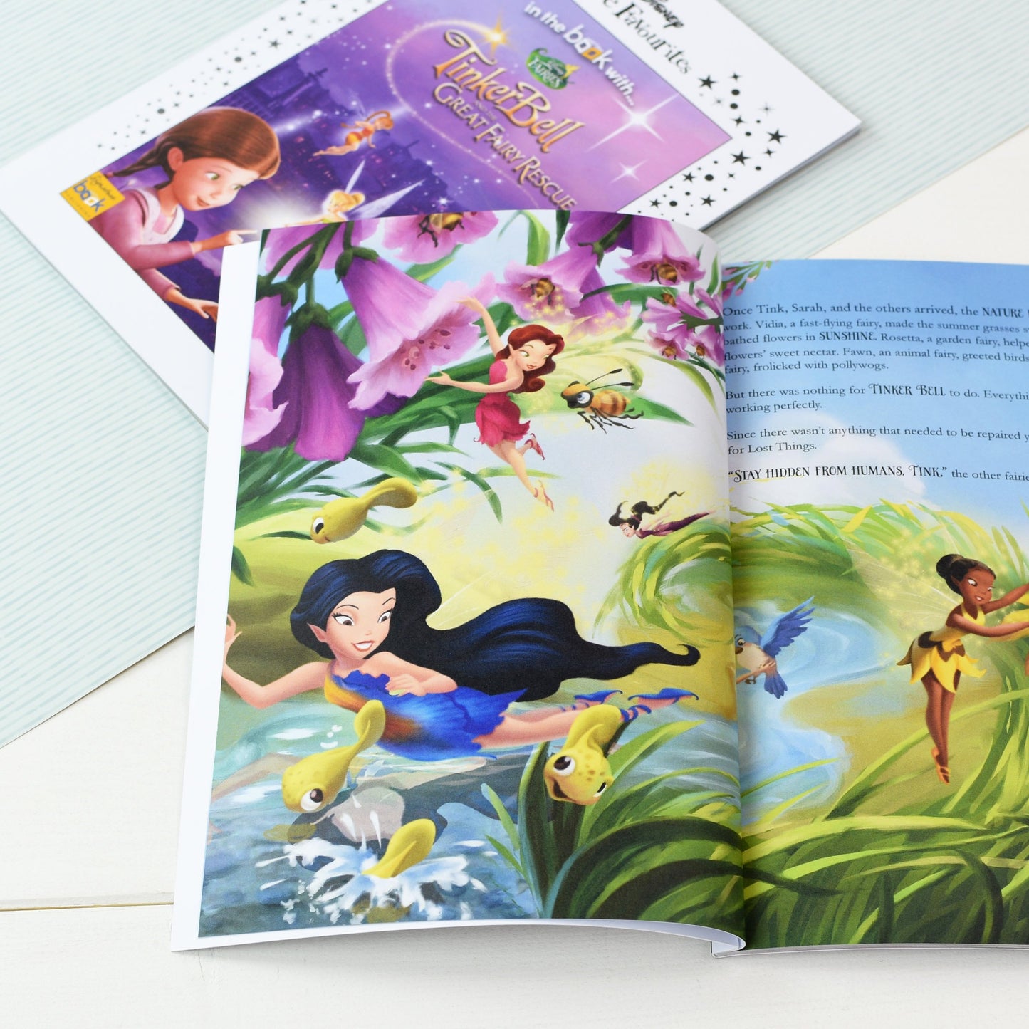 Personalised Disney Little Favourites Disney Fairies Book