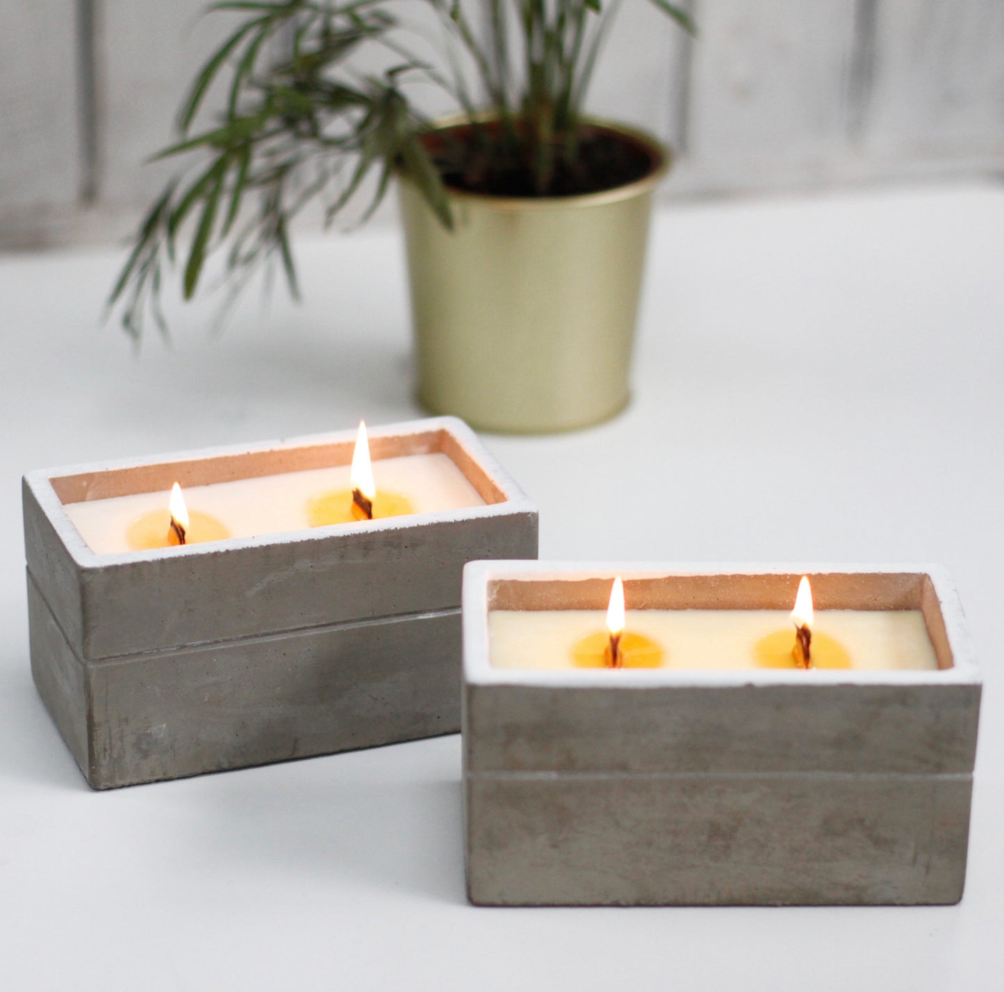 Concrete Wooden Wick Large Candle Box - Spiced South Sea Lime