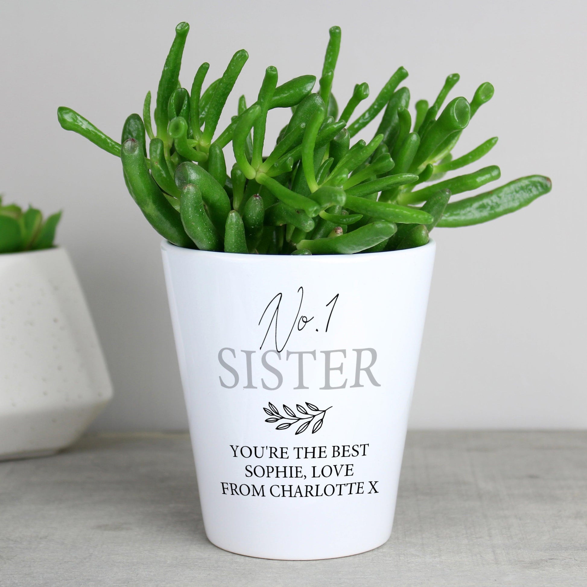 Personalised Free Text Plant Pot