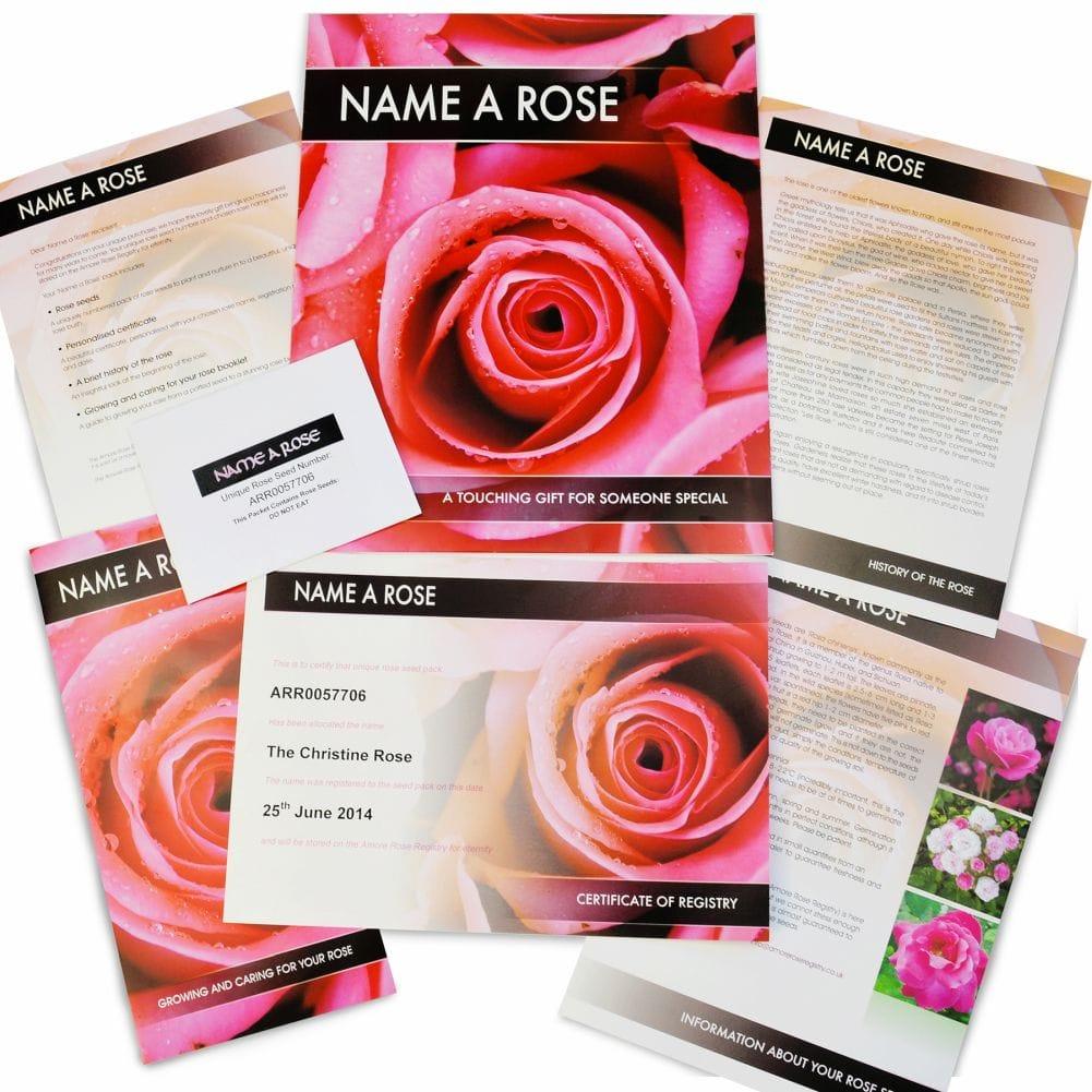 Personalised Name a Rose Bush Gift