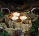 Petrified Wood Candle Holder - Triple