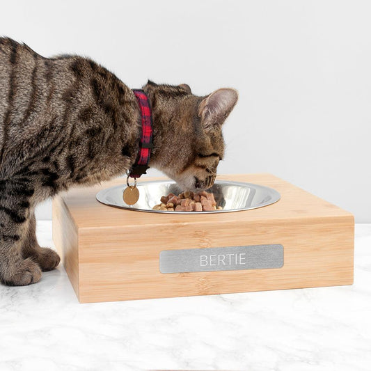 Personalised Large Bamboo Single Pet Bowl