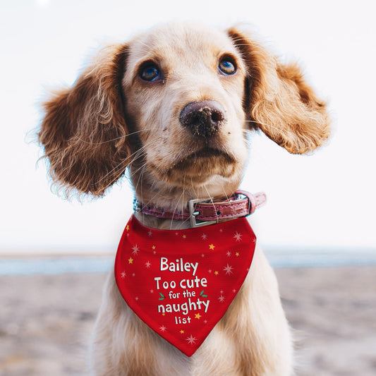 Personalised 'Too cute for the naughty list' Dog Bandana