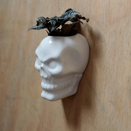 Ceramic Skull Garden Wall Planter Plant Pot