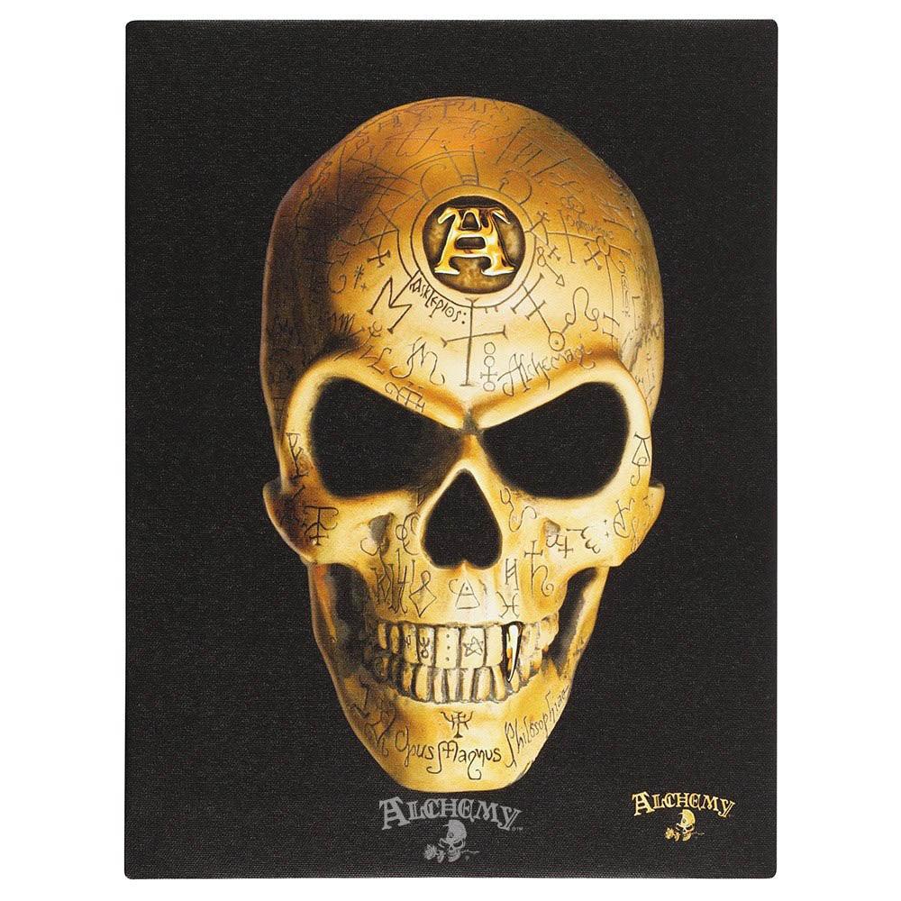 19x25cm Omega Skull Canvas Plaque by Alchemy