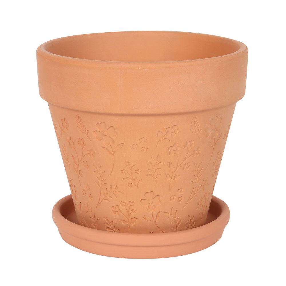 Engraved Botanical Terracotta Plant Pot