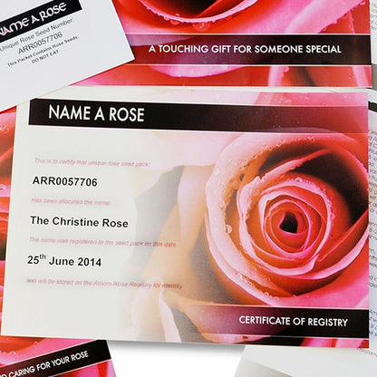 Personalised Name a Rose Bush Gift