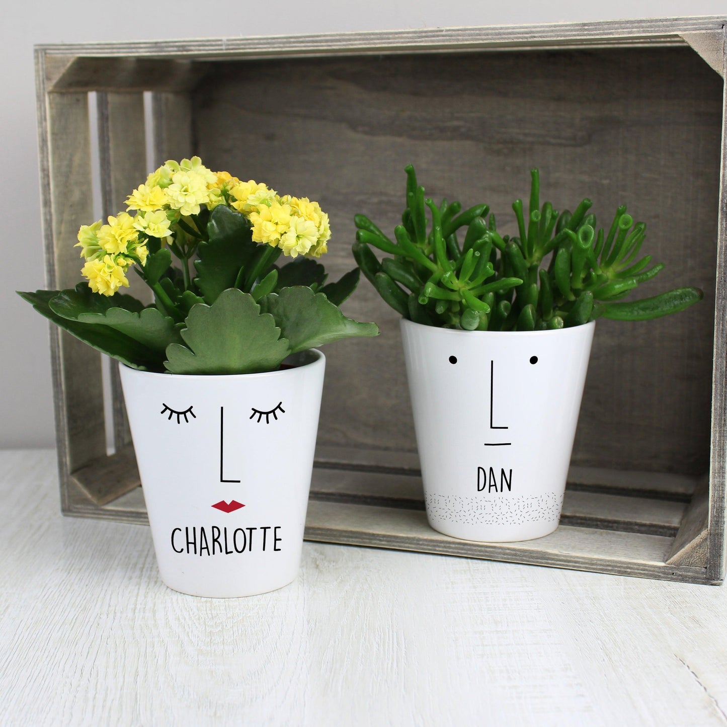 Personalised 'Mr Face' Plant Pot