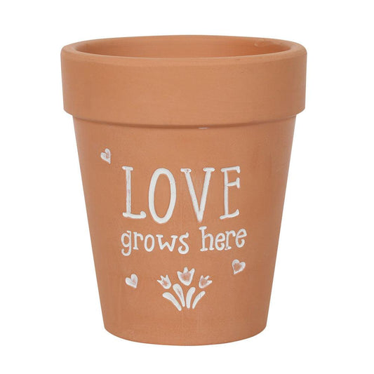 Love Grows Here Terracotta Plant Pot