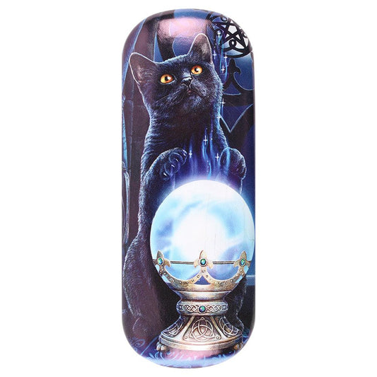 Witches Apprentice Cat Glasses Case by Lisa Parker