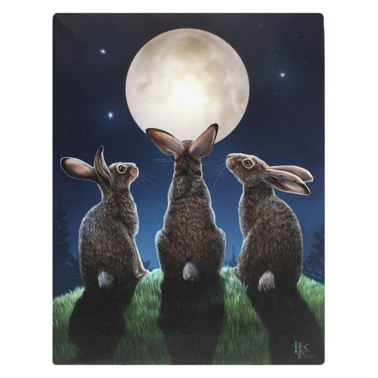 19x25cm Moon Shadows Canvas Plaque by Lisa Parker