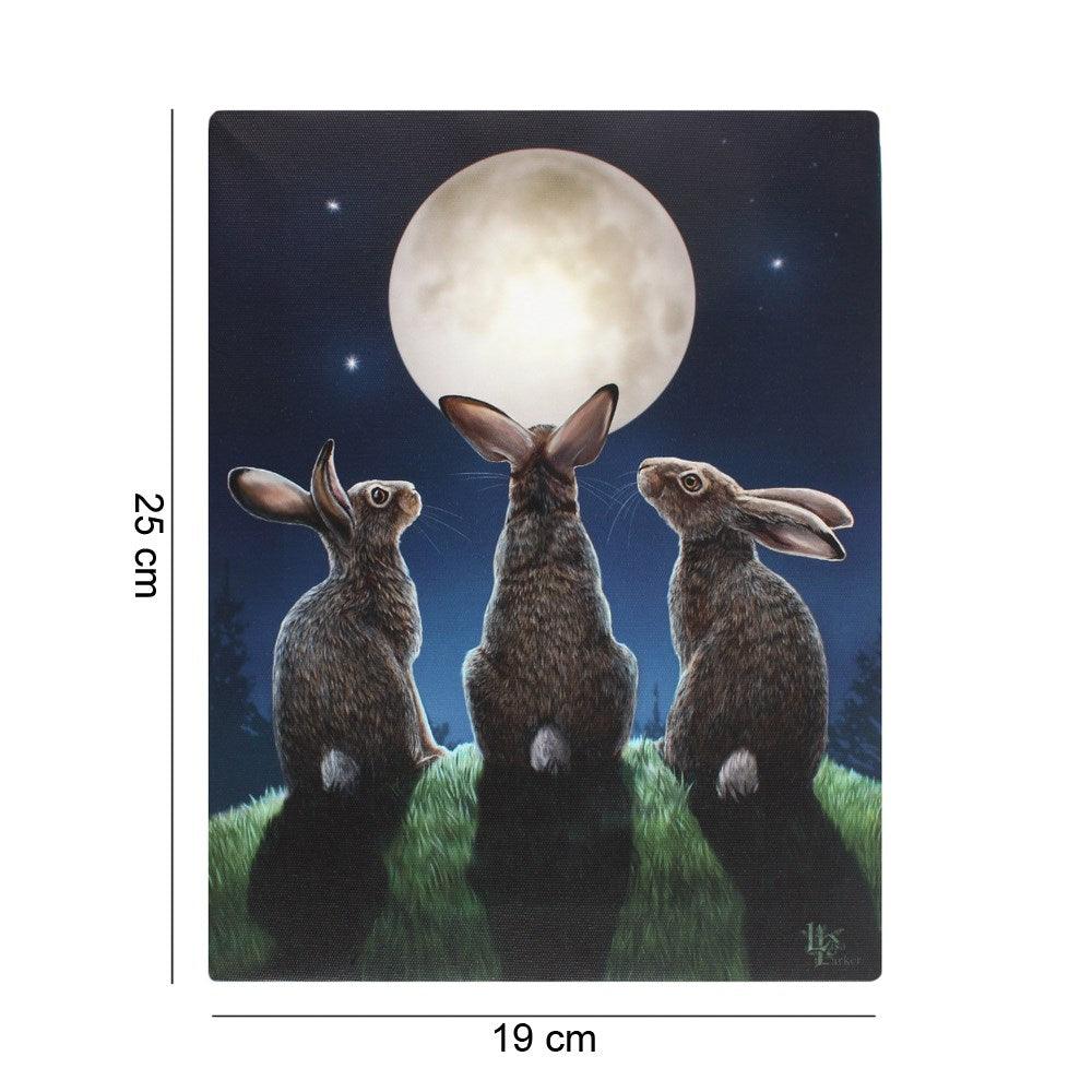 19x25cm Moon Shadows Canvas Plaque by Lisa Parker