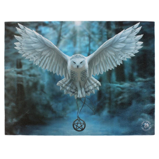 25x19cm Awake Your Magic Canvas Plaque by Anne Stokes