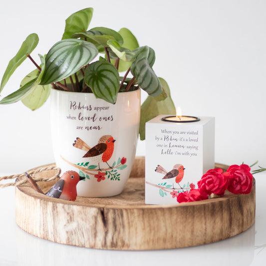 Winter Robin Ceramic Plant Pot